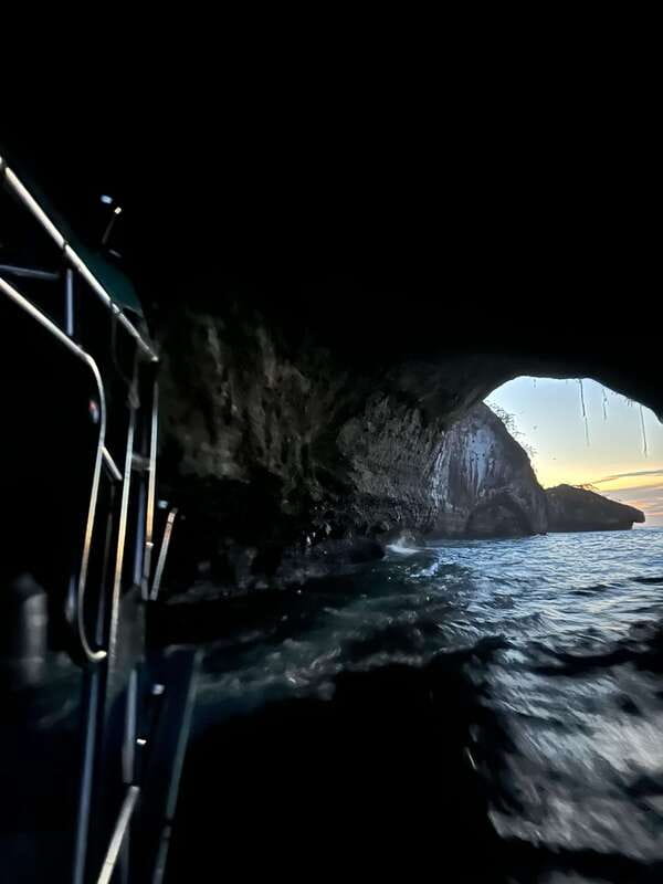 Puerto Vallarta: Bioluminescence in Los Arcos Marine Park - Practical Details and Considerations