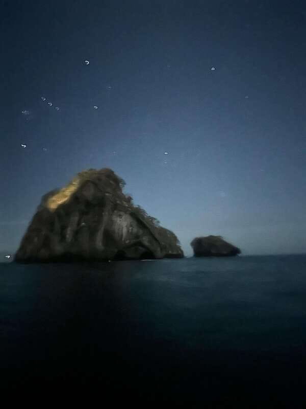 Puerto Vallarta: Bioluminescence in Los Arcos Marine Park - An In-Depth Look at the Tour Experience
