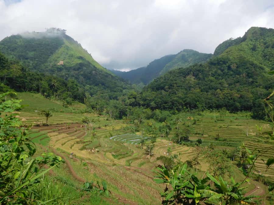 Yogyakarta : explore Nepal van Java + Selogriyo temple - Who Is This Tour Best For?