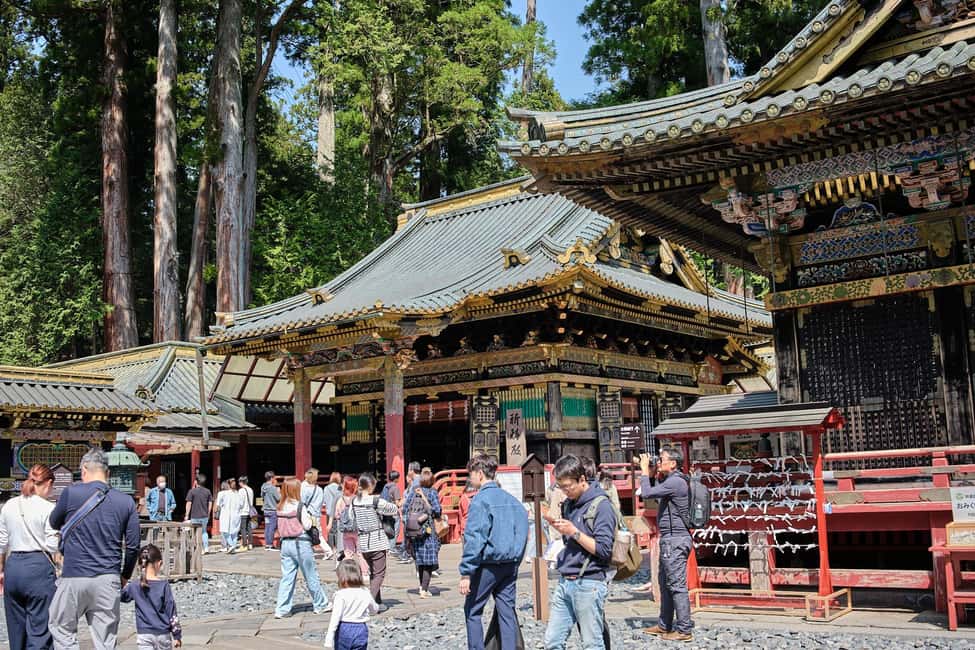 Tokyo to Nikko: Day Trip Custom Day Tour - Who Is This Tour Best For?