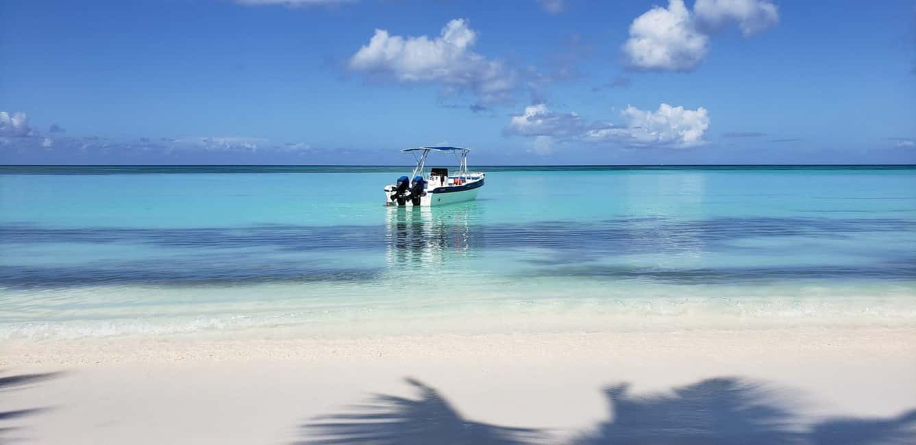 Saona Island Tour From Santo Domingo with Lunch and Pickup - What Do Travelers Say?
