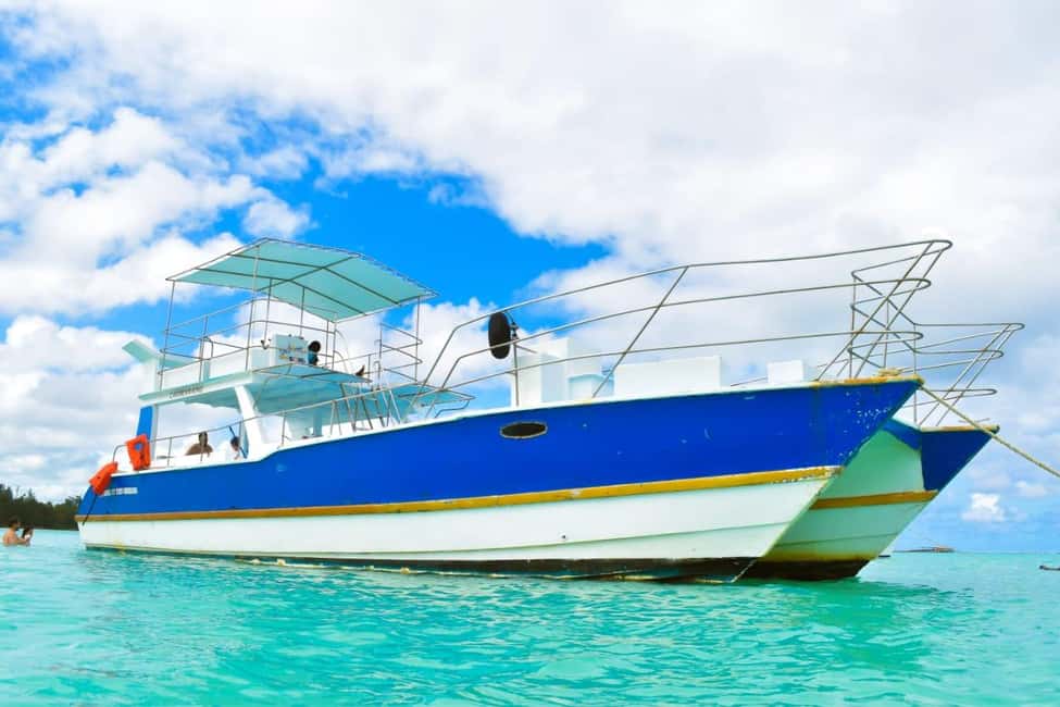 Saona Island Tour From Santo Domingo with Lunch and Pickup - Discover Saona Island from Santo Domingo: A Complete Guide