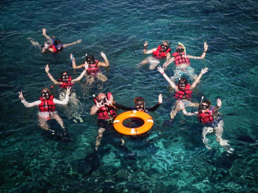 Full-Day Snorkeling Tour to Catalina Island - A Deep Dive into the Catalina Island Snorkeling Experience