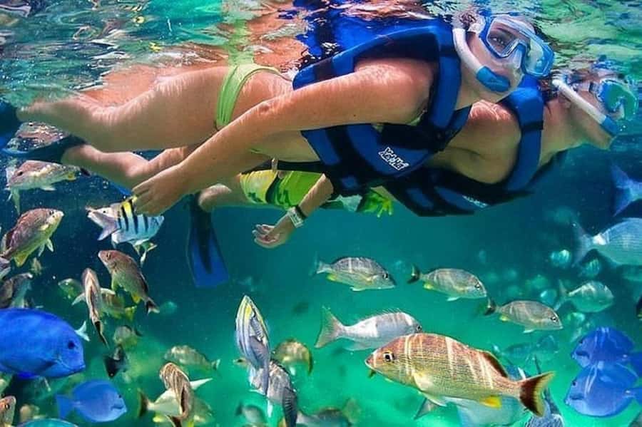 Cartagena: Raccoon Island Snorkel, Mangrove, Photos & Lunch - Key Points