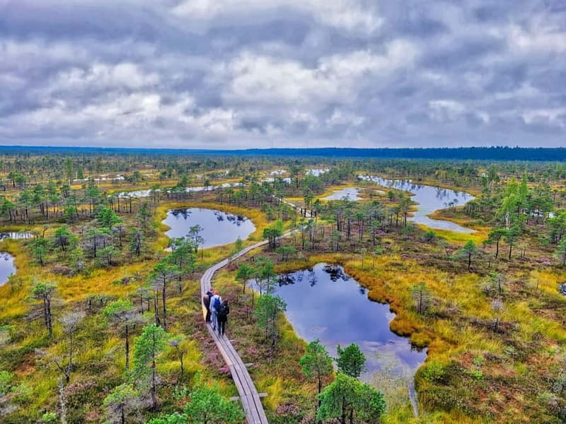Great emeri Bog & Swamp Forest Hiking Adventure - Key Points