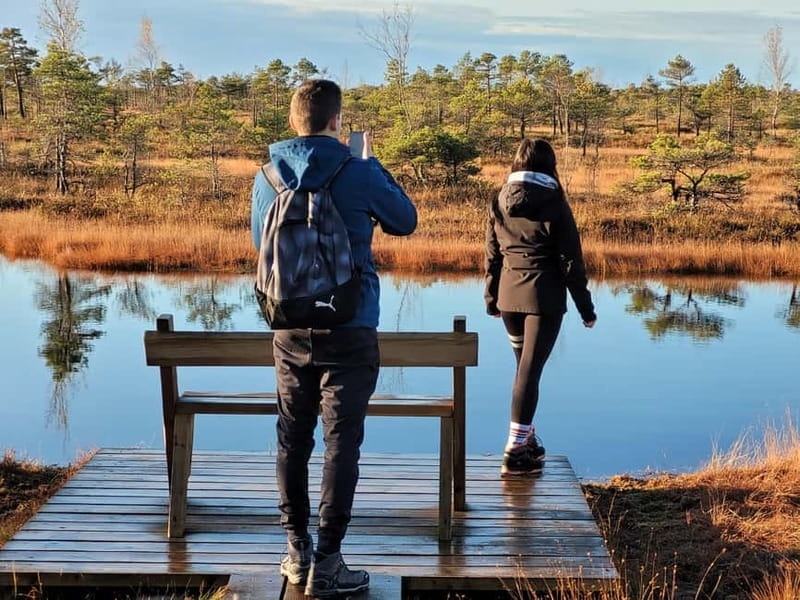 Great emeri Bog & Swamp Forest Hiking Adventure - Discovering Latvia’s Unique Ecosystems on a Guided Hike