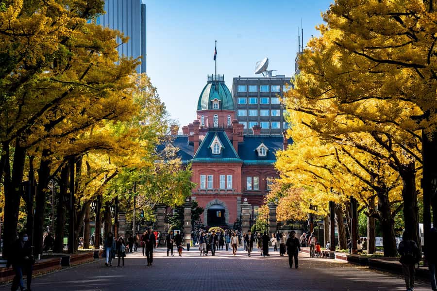 Sapporo Highlights: Art, Nature & Architecture Private Tour - Historic Charm at the Red Brick Government Office