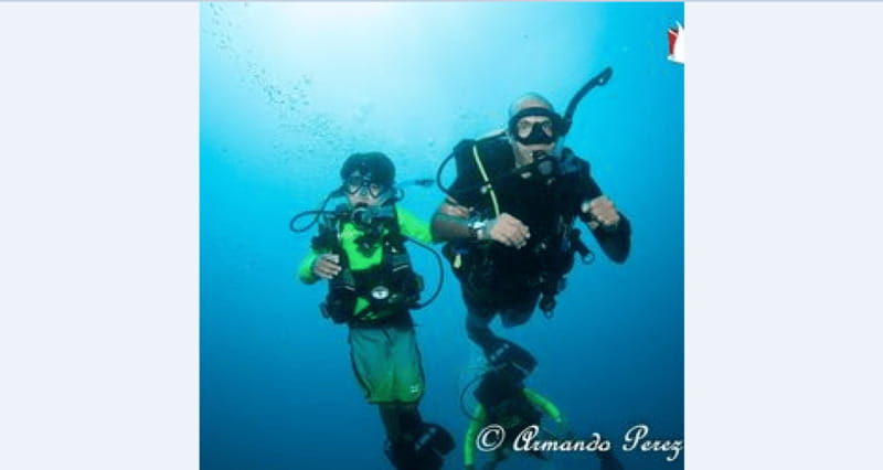 Puerto Vallarta: Underwater Wonderland at Los Arcos - Key Points
