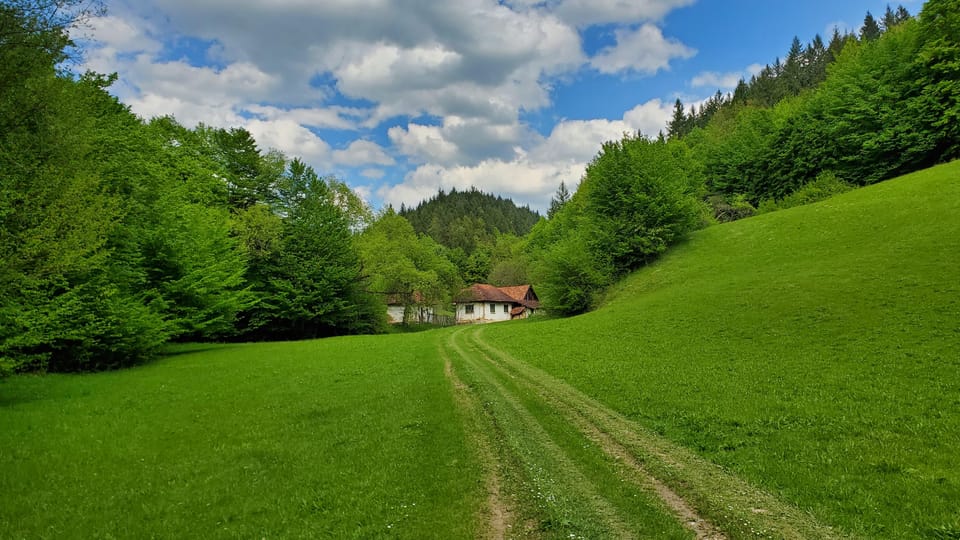 Cluj to Rosia: Day Trip to Ferrata and pittoresque country - The Value and Why It Works