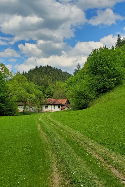 Cluj to Rosia: Day Trip to Ferrata and pittoresque country - Key Points