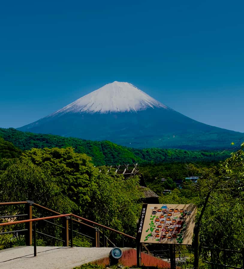 VIP Mount Fuji, Hakone with Beautiful Lakes One Day Tour - FAQ