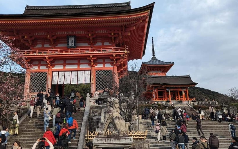 Kyoto: Personalize, private tour (3h, 5h, 8h) [W/Car Option] - Good To Know