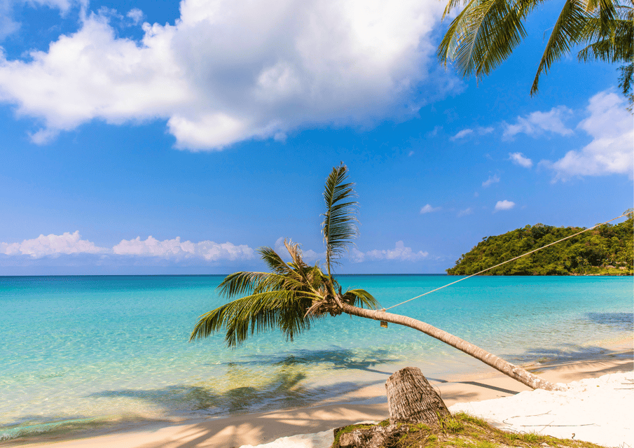 Koh Kood: Bus and Catamaran Transfer From Pattaya - Language Options