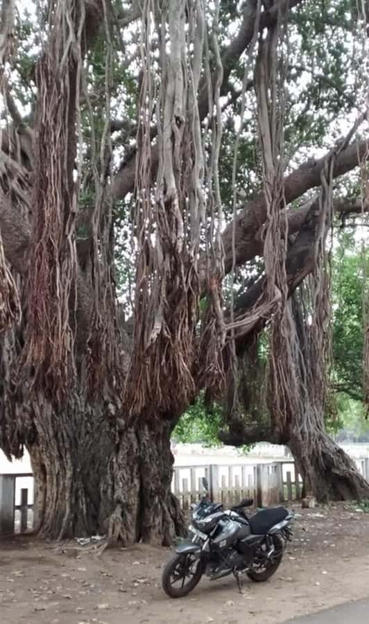 From Chennai: Private same day tour to Kanchipuram & Vellore - Vellore Fort: A Fortress of History