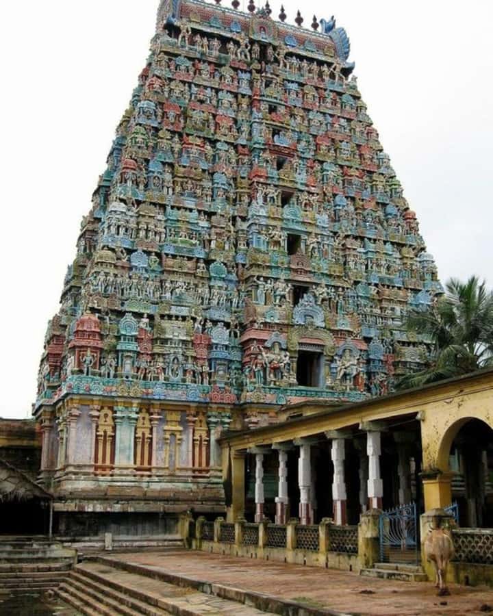From Chennai: Private same day tour to Kanchipuram & Vellore - Scenic Drive and Transition to Vellore