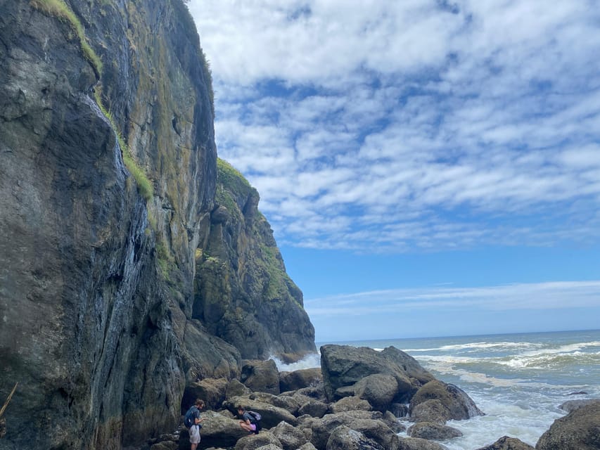 Rainforest and Olympic National Park Highlights - Exploring the Olympic Peninsula: A Deep Dive into the Experience