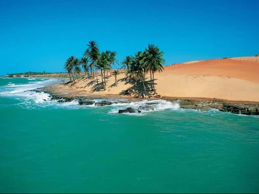 Discover Lagoinha: 1-Day Excursion - Why This Tour Offers Great Value