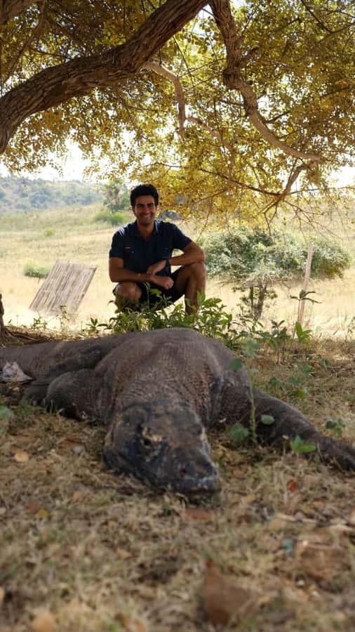 Labuan Bajo: 2D1N Komodo & Pink Beach Shared Boat Tour - The Real Deal: What’s in the Fine Print?