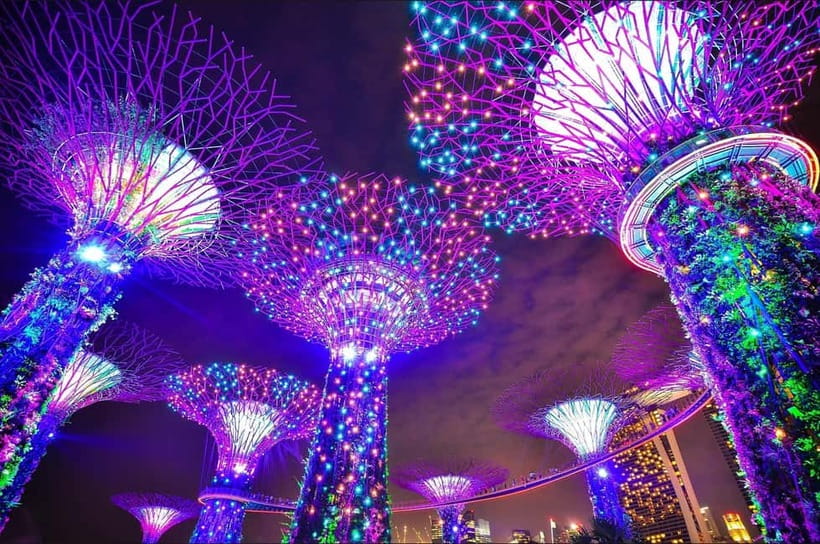 Fabulous Night-out Private Tour in Singapore - Key Points