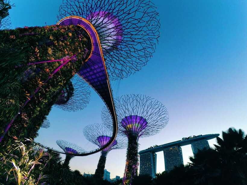 Fabulous Night-out Private Tour in Singapore - The Dazzling Wings of Time Light Show