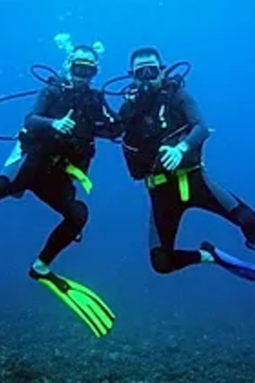 Ixtapa: Underwater Adventures in Zihuatanejo - What Travelers Say