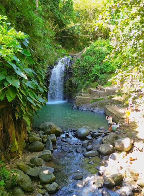 Saint George's: Grenada River Tubing & Waterfall island tour - An In-Depth Look: What to Expect from This Tour