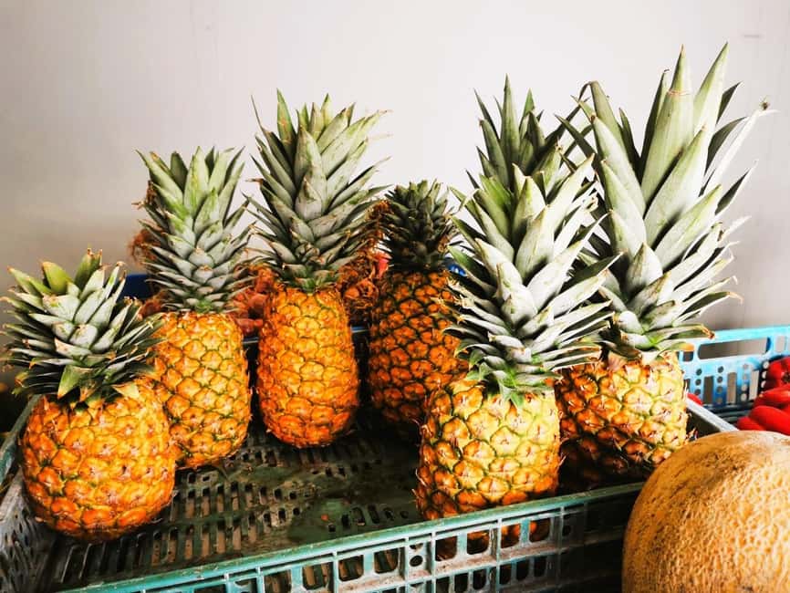 Private Puerto Plata Food Tour and Beach Chillout - Exploring Puerto Plata’s Highlights