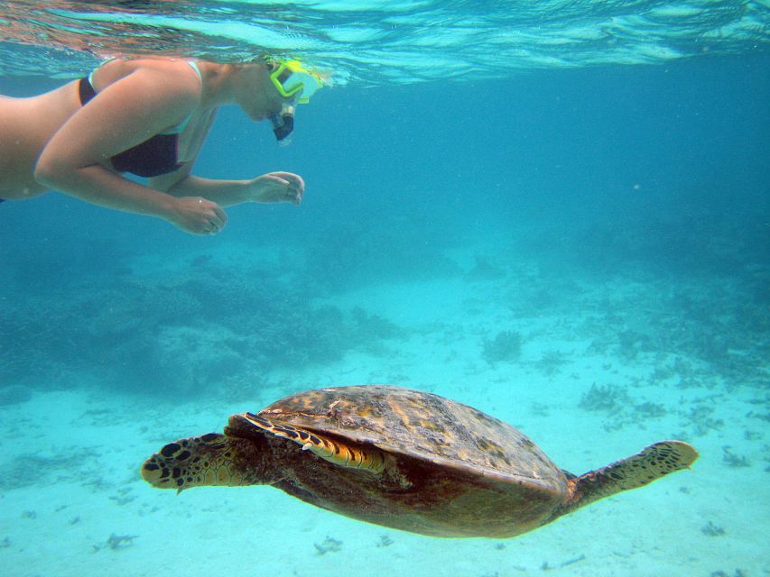 From Miami: Key West Day Trip - The Itinerary in Detail