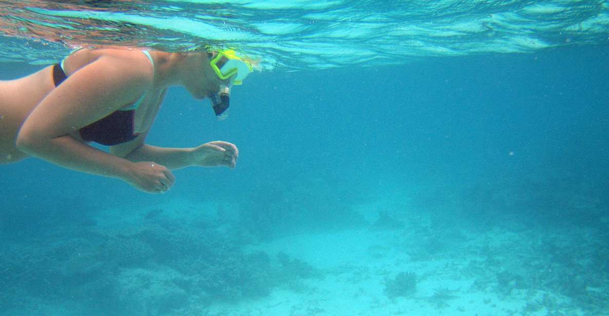 From Miami: Key West Day Trip - Final Thoughts
