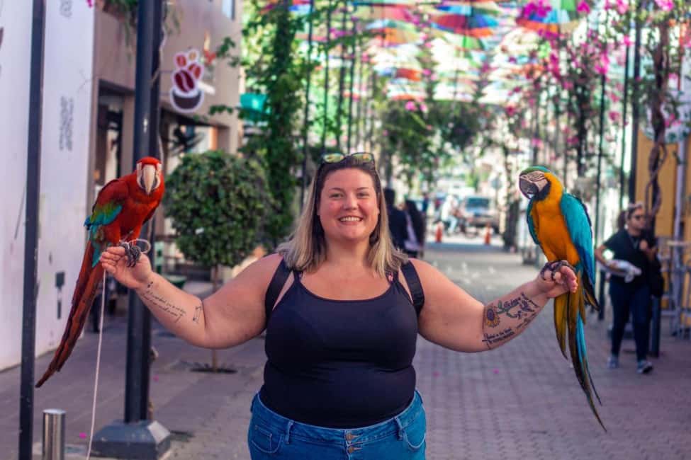 Short Excursions City Tour and 27 Waterfall Damajagua - Exploring Puerto Plata City