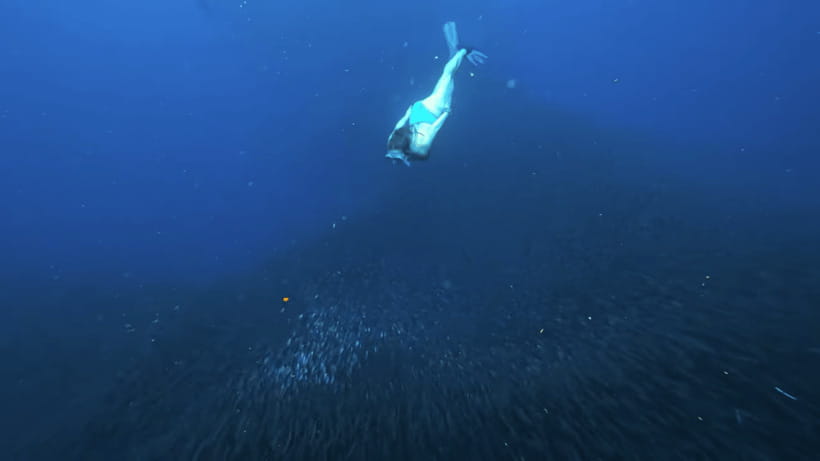 Cebu Ultimate Adventure: Oslob, Inambakan Falls & Moalboal - An In-Depth Look at the Cebu Ultimate Adventure