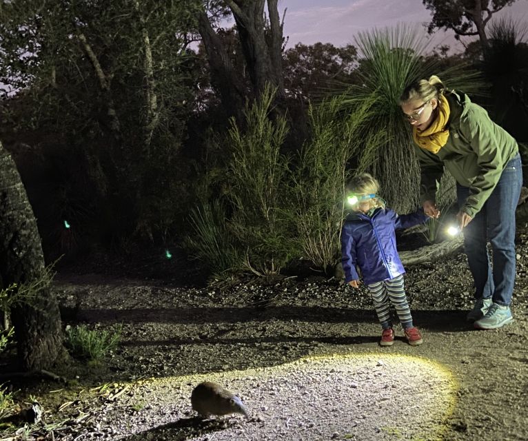 Busselton: Nocturnal Animal Tour - The Itinerary: From Sunset to Stars