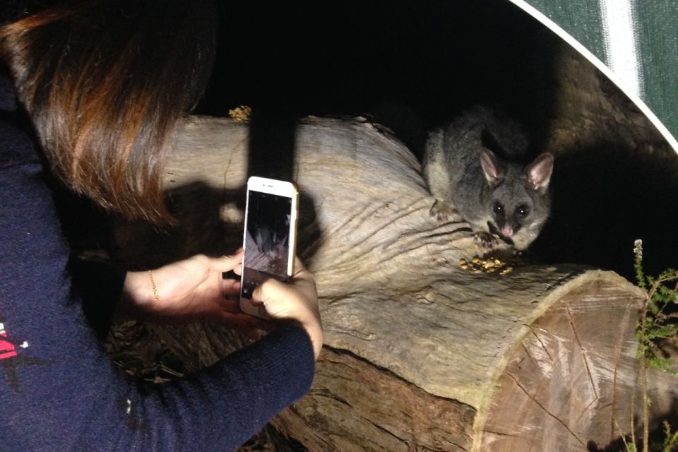 Busselton: Nocturnal Animal Tour - FAQs