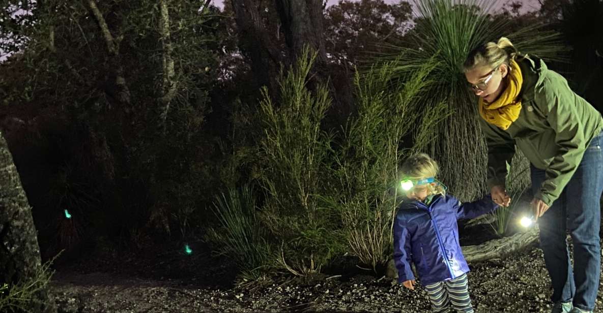 Busselton: Nocturnal Animal Tour - Who Should Consider This Tour?
