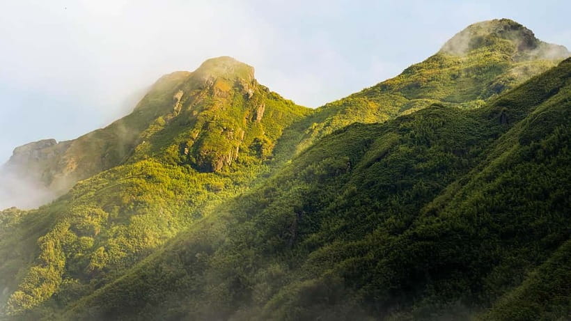 Mount Fansipan Hike 1Day With Francophone Guide - Key Points