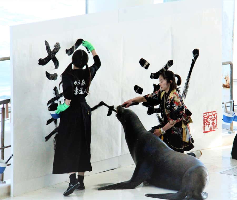 Tokyo: Hitachi Seaside Park & Aquaworld Oarai Aquarium Tour - Final Thoughts