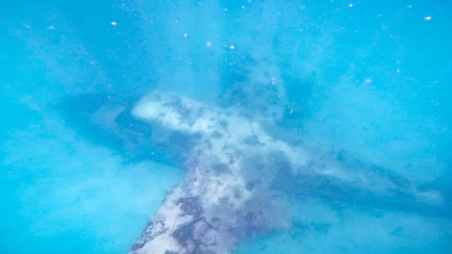 Cartagena: disfruta las islas del rosario con barra libre - Frequently Asked Questions (FAQs)