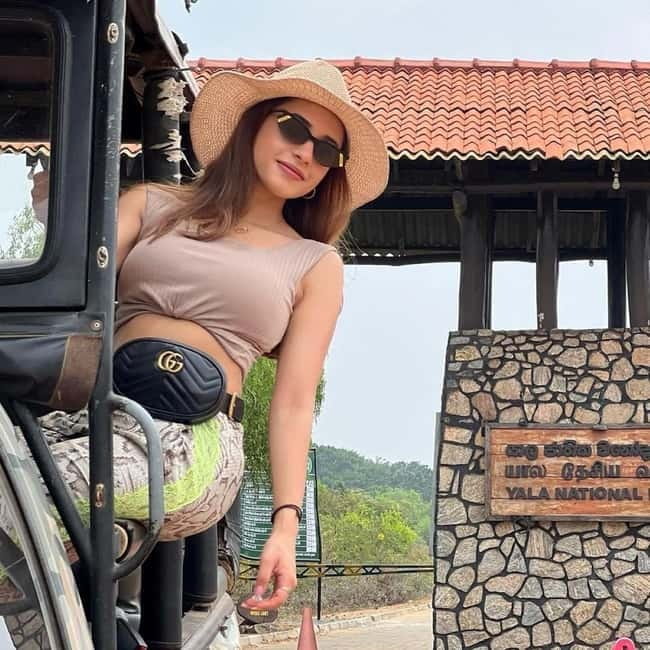 From Ella: Yala Safari & Transfer to Tangalle/Mirissa/Galle - Real Traveler Insights & Tips