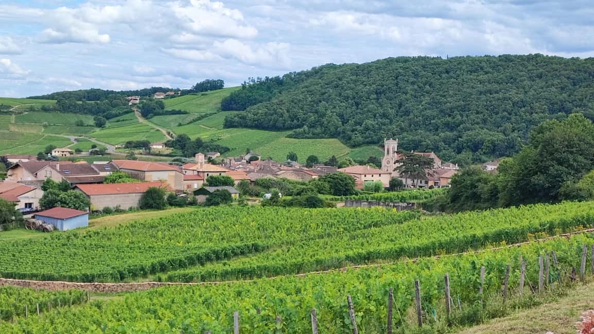 Wine tour in Pouilly Fuissé - A Deep Dive into the Pouilly-Fuissé Wine Tour