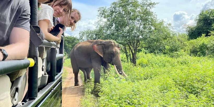 From Galle/Hikkaduwa/Mirissa Trip to Udawalawe Safari Tour - From Galle/Hikkaduwa/Mirissa Trip to Udawalawe Safari Tour