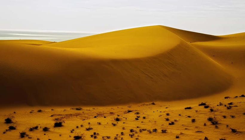 From Ho Chi Minh: Explore the Mui Ne Sand Dunes In 1 Day - Authentic Experiences & Authenticity