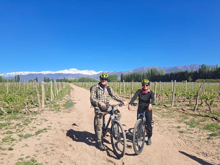 Wine and Chocolate Bike Tour: ride, taste, lunch, vineyards. - The Experience of the Guides and the Setting