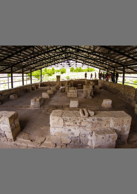 Authentic Anatolian Dinner at the Carpet House - Additional Insights from Reviewers