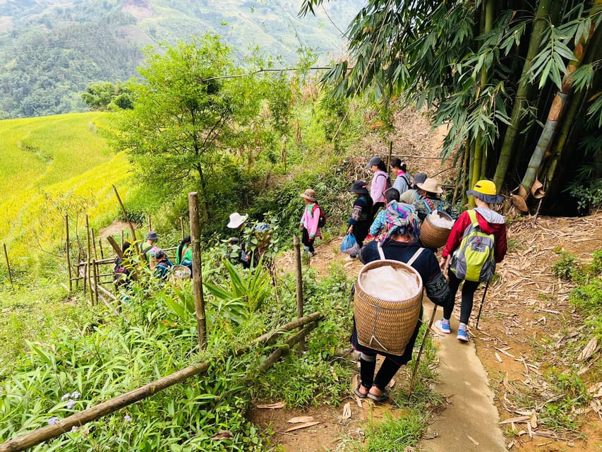 Sapa 1-Day Trekking Tour: Rice Terraces & Villages - The Itinerary in Detail