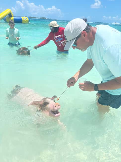 snorkeling, swimming pigs , turtles, harbor tour - An In-Depth Look at the Bahamas Tour