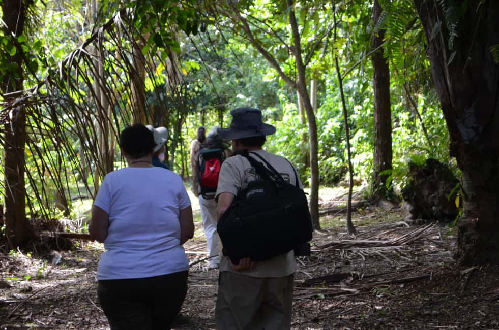 Nariva Swamp: Monkey Viewing Experience - Who Would Enjoy This Tour?