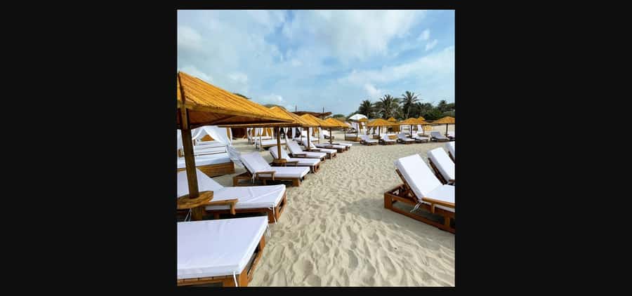 ANCESTRAL - - Key Points