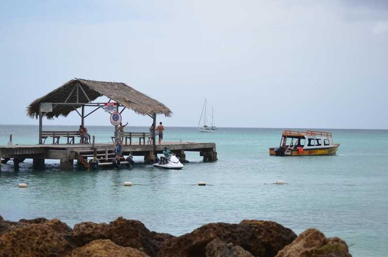 Tobago: Buccoo Reef Glass Bottom Boat Tour - Final Thoughts