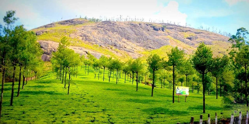 Munnar: Local Highlights Day Tour with Top station Visit - The Good, the Not-So-Good, and How to Make It Better