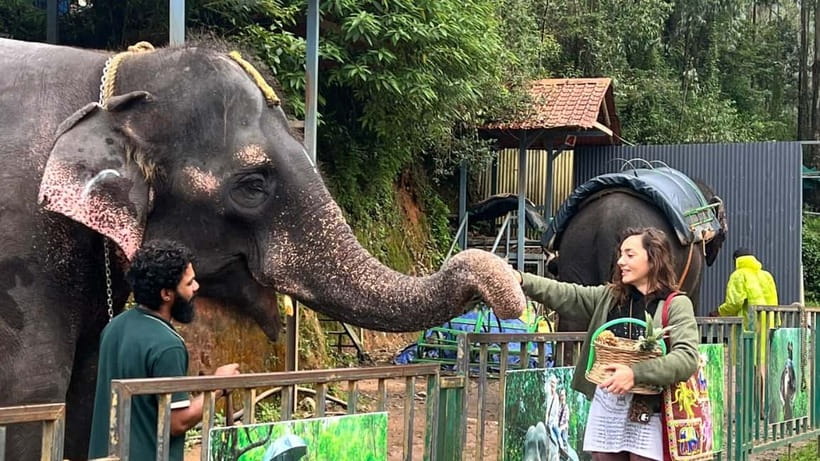 Munnar: Local Highlights Day Tour with Top station Visit - Key Points